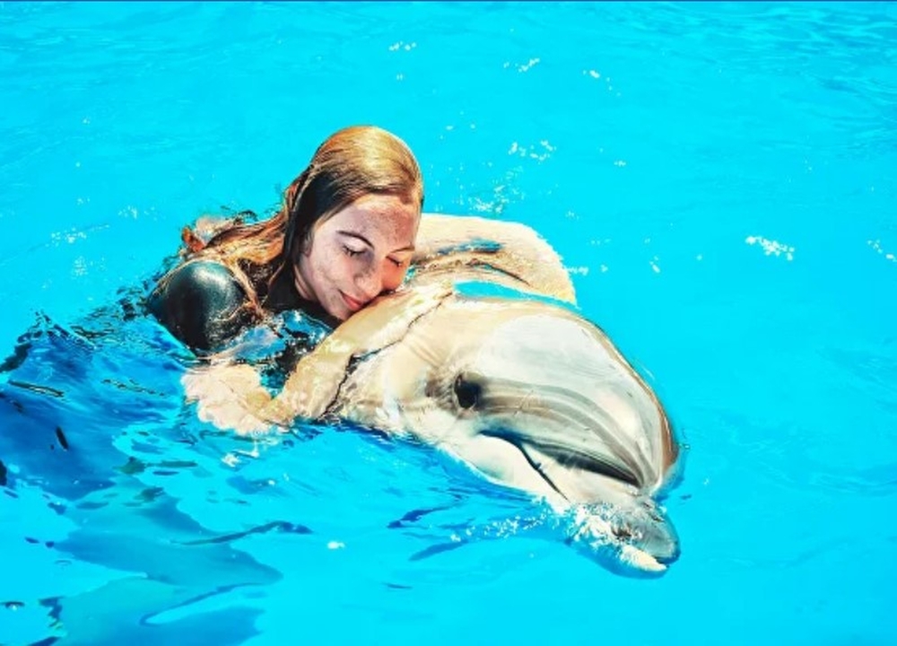 Dolphins Bay Phuket attraction in Phuket