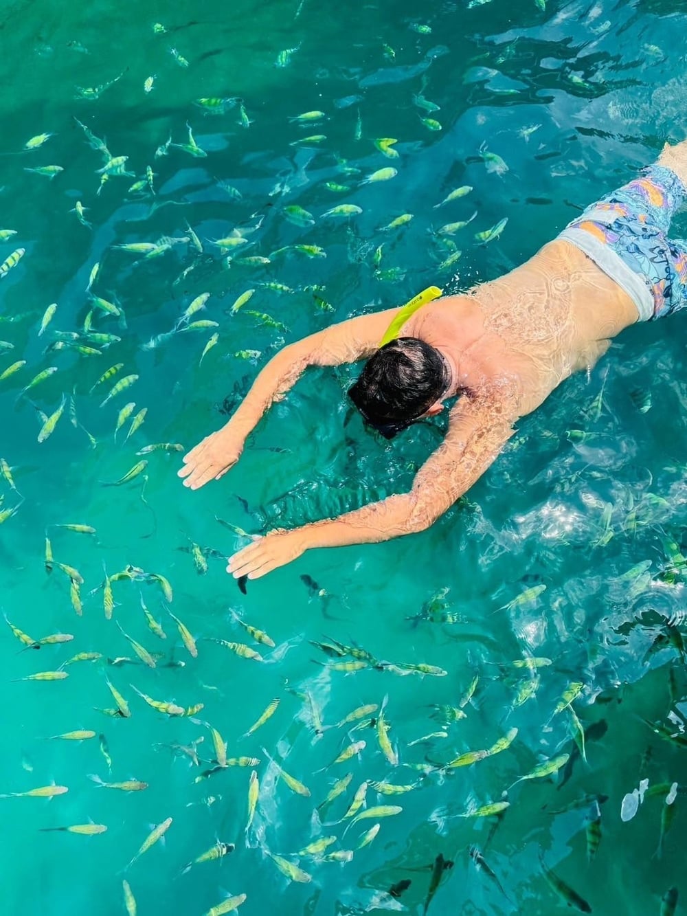 Krabi 4 Island Tour One Day Trip tour in Krabi