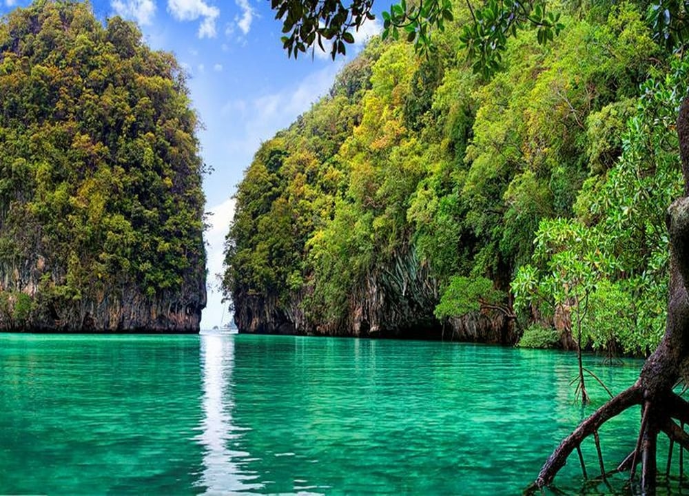 Hong Island One Day Trip tour in Krabi