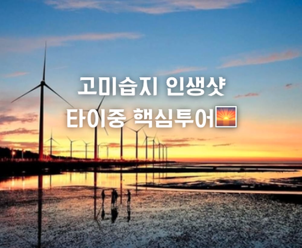 🌅 타이중 노을 감성
