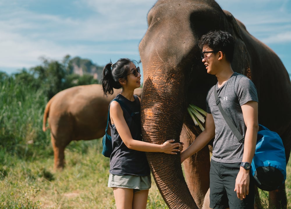 Krabi Elephant HOUSE Sanctuary tour in Krabi