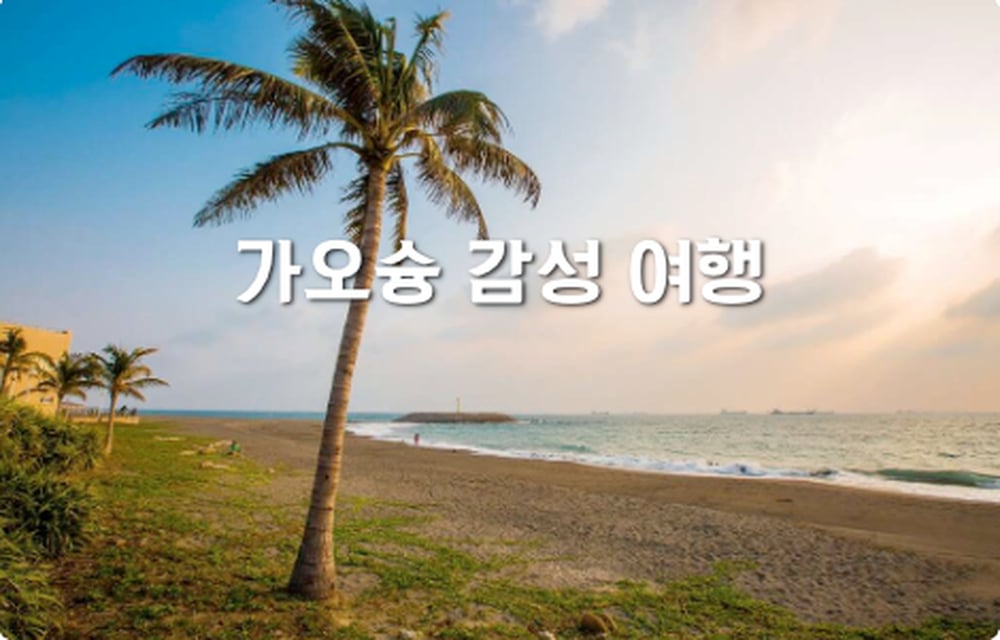 가오슝 인생샷 시티투어 (보얼·치진·야경 핵심코스)