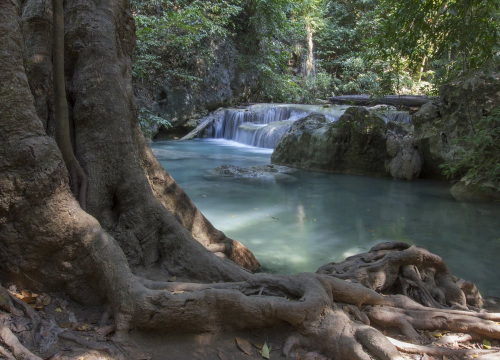 One day Erawan and Kayak tour in Kanchanaburi