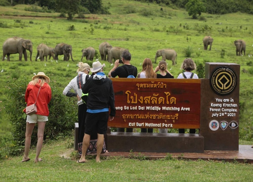 Kuiburi National Park– Elephant watching (Join Tour) tour in Hua Hin & Cha-Am