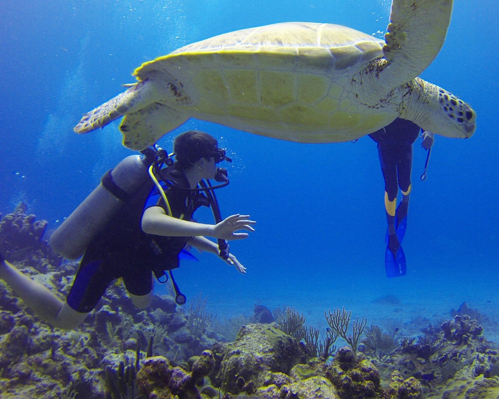 Phuket Fun Diving tour in Phuket scuba trips and courses