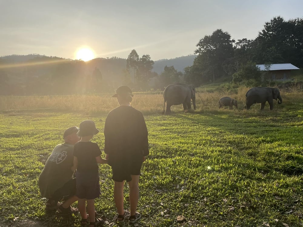 Half Day Tour Doi Inthanon Elephant Sanctuary tour in Chiang Mai elephant experiences