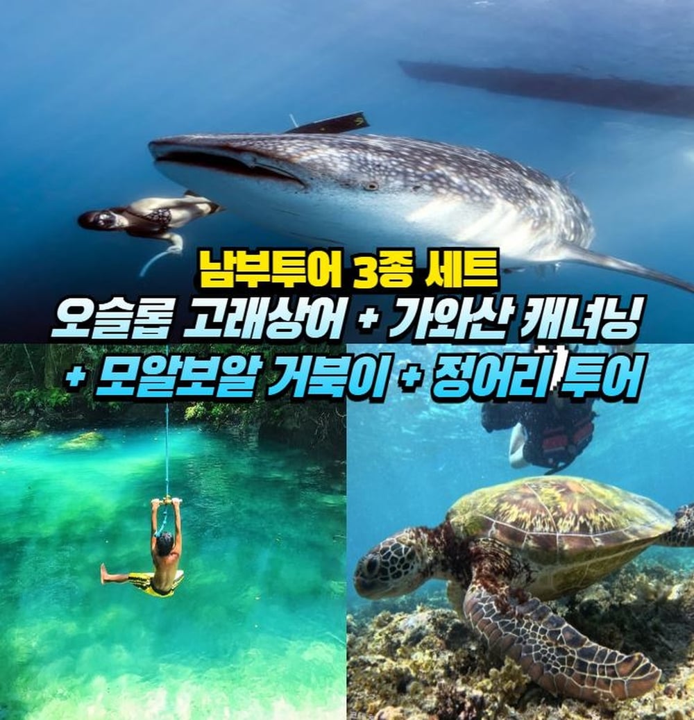 Cebu Tour 3-in-1 Package [Oslob+canyoneering+moalboal snorkeling]