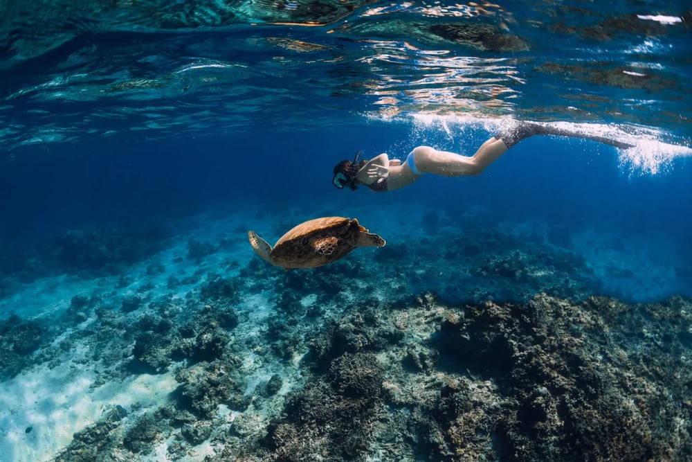 [Indonesia/Bali] Gili Snorkeling Tour(join)