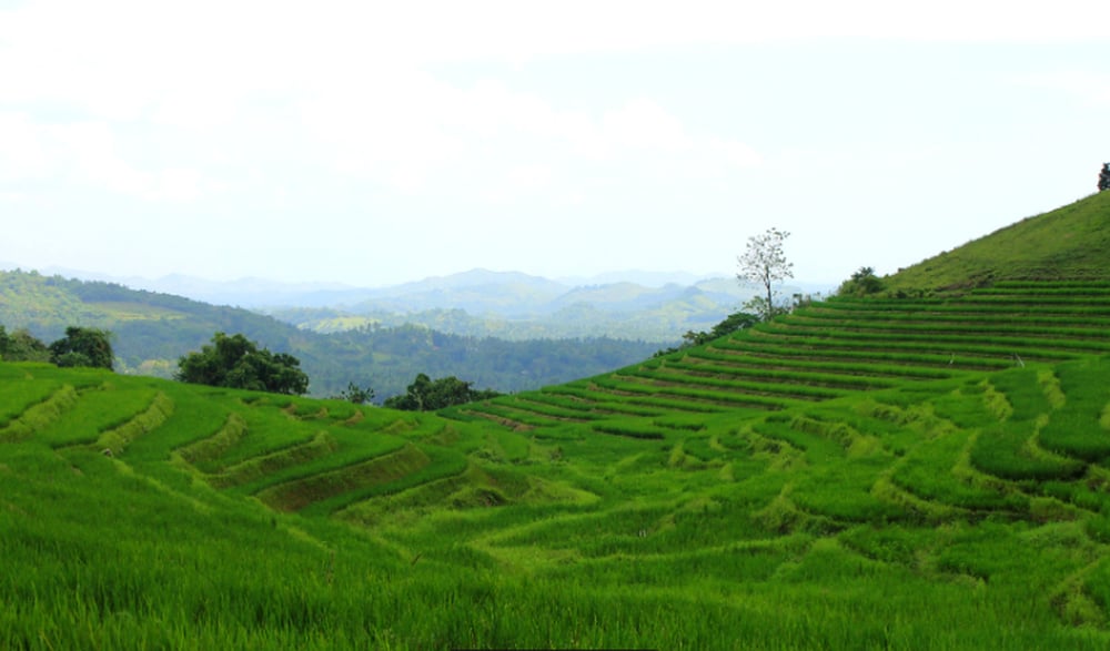 Bohol Adventure Anda - Candijay Day Tour
