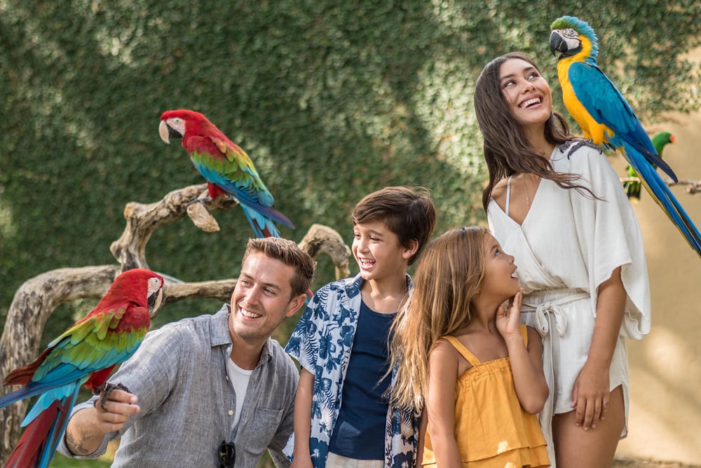 [Indonesia/Bali] Bali Bird Park Ticket (Family-Friendly Experience)