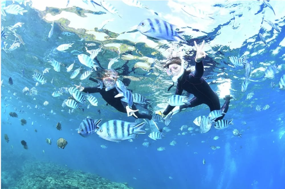 [bus join tour/HIS_A-1107/Japanese Guide] OKINAWA: LeaLea Shuttle Bus Blue Cave Snorkeling, Lunch Included