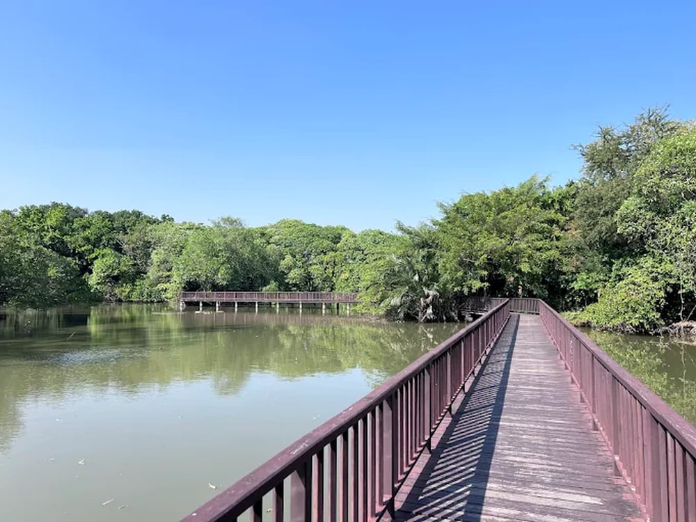 [ENG GUIDE] Bangkok's Green Lung: Boat, Bike & Nature Tour