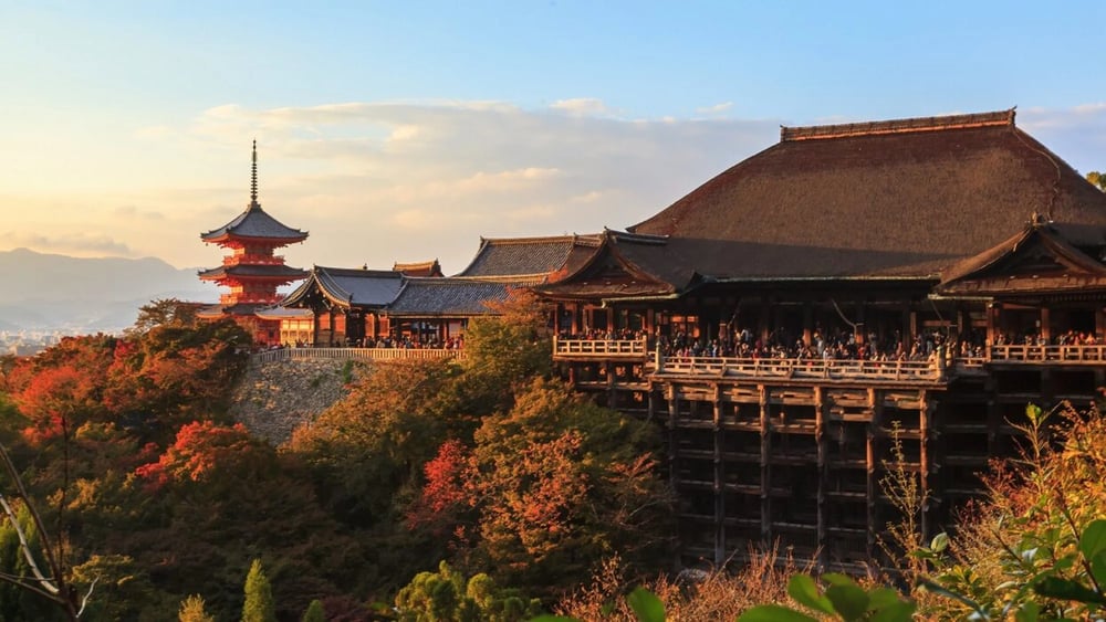 [bus join tour/ NDT_오사카 4교토 아라시야마 코스] Osaka-Kyoto 1-Day Bus Tour tour in Osaka