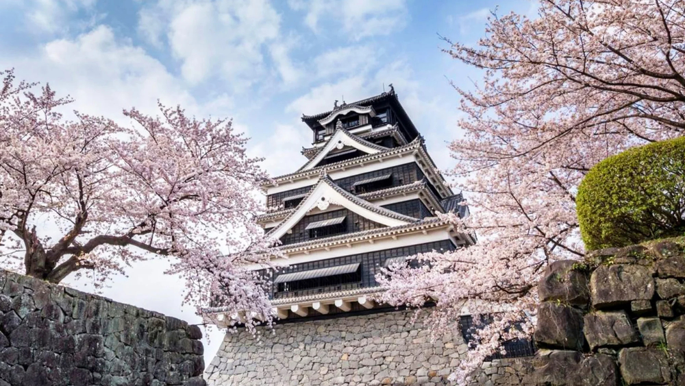 [bus join tour / gogoday tour gogo4] Kumamoto Aso Nakadake Crater + Kusasenri + Kumamoto Castle, departing from Fukuoka