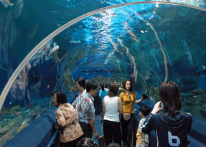 Underwater World