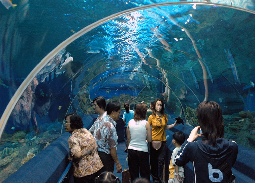 Underwater World