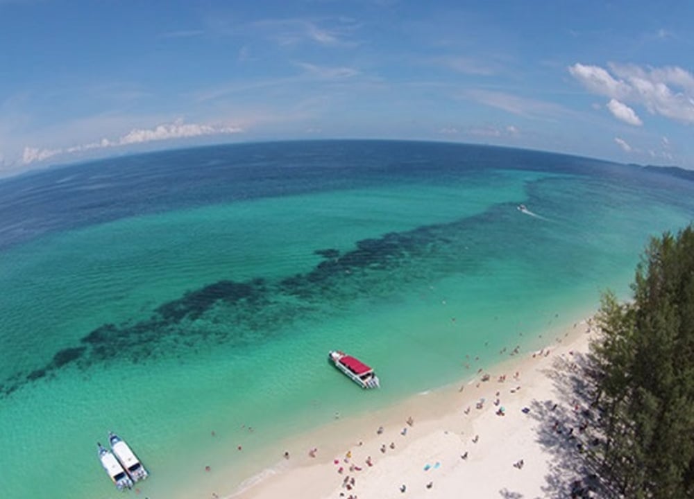 Tour koh phi phi/koh maya (by speed boat) tour in Krabi