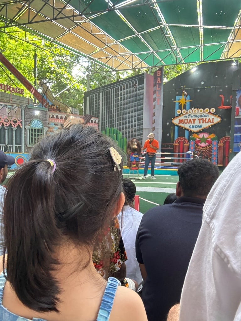 연동사 리뷰 이미지