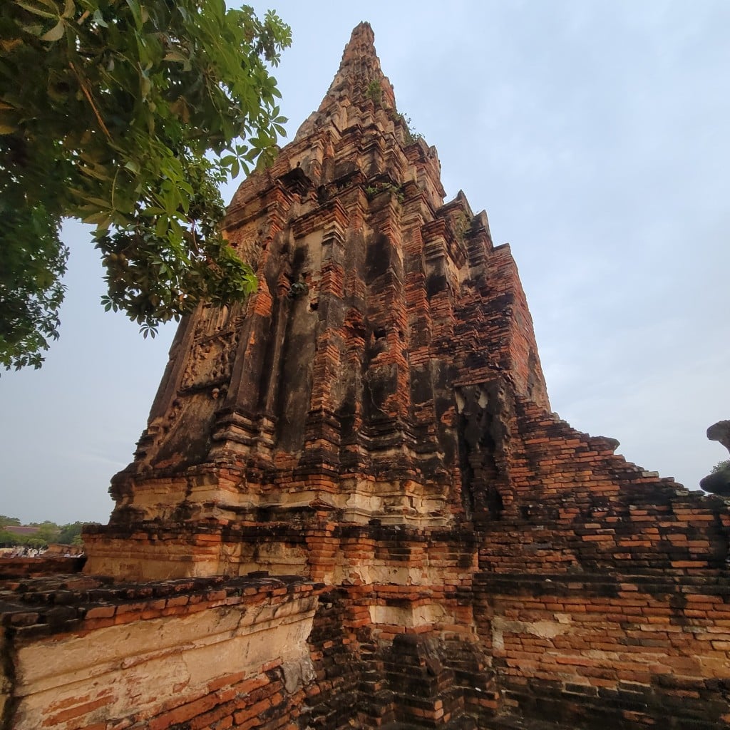 연동사 리뷰 이미지