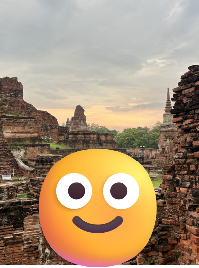 연동사 리뷰 이미지