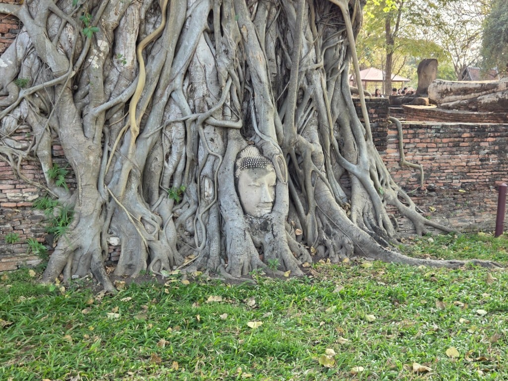 연동사 리뷰 이미지