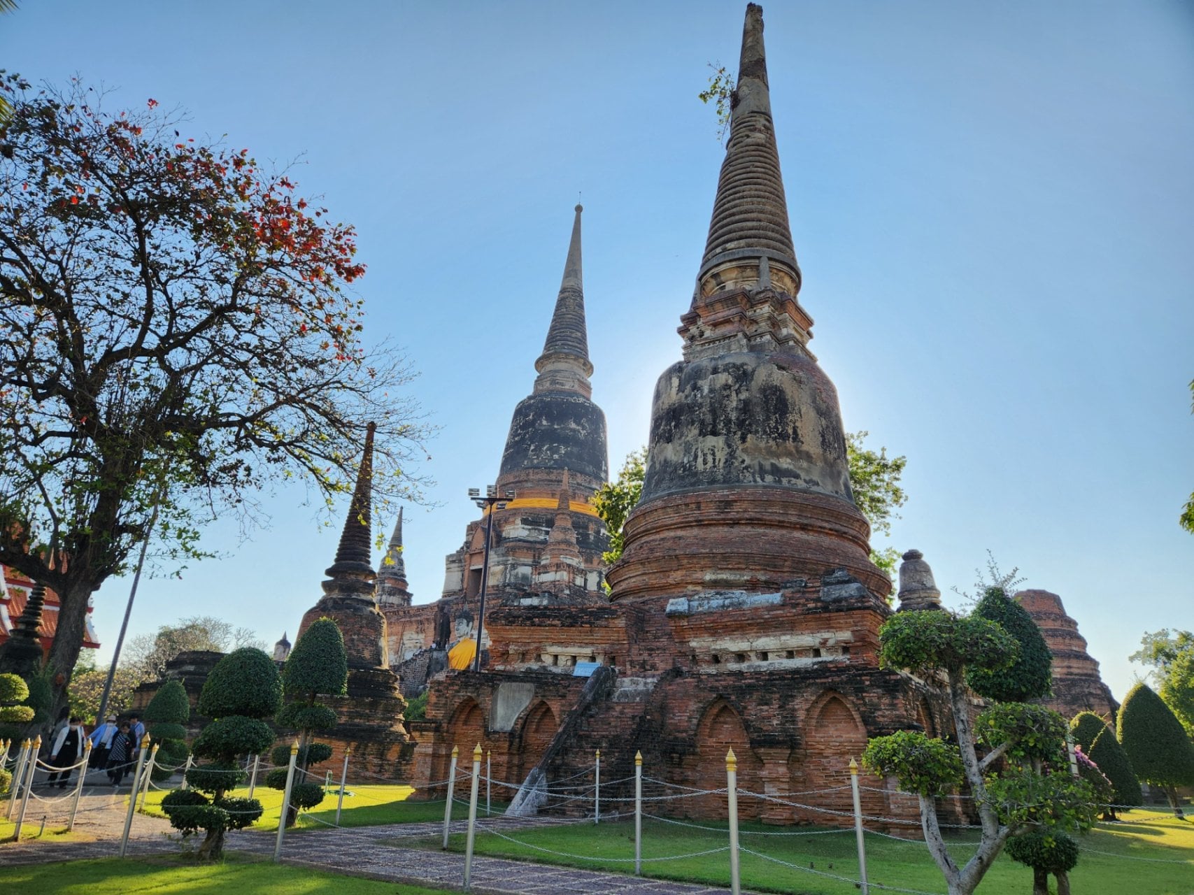 연동사 리뷰 이미지