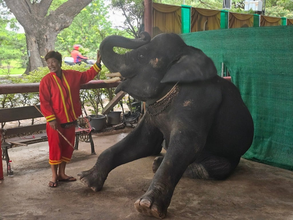연동사 리뷰 이미지