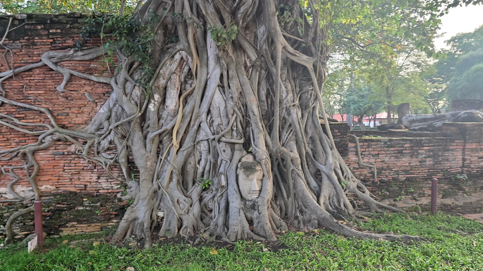 연동사 리뷰 이미지