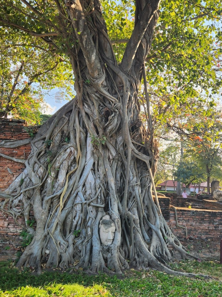 연동사 리뷰 이미지