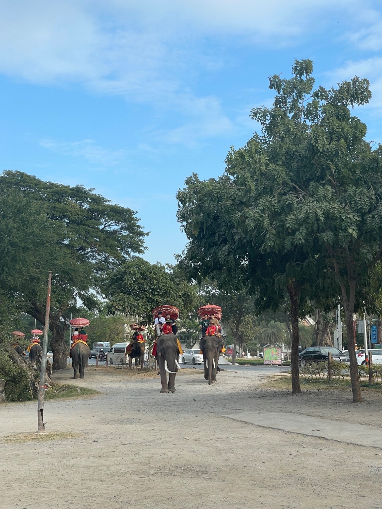 연동사 리뷰 이미지