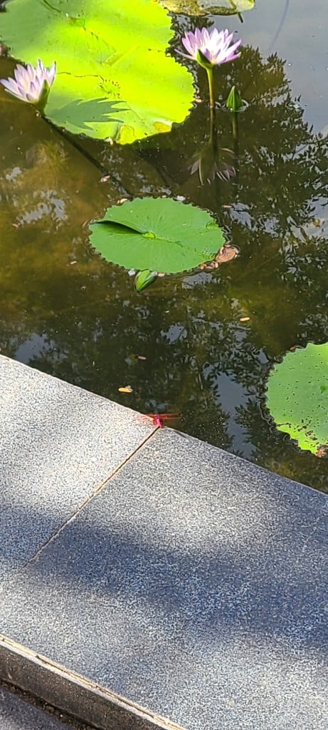 연동사 리뷰 이미지