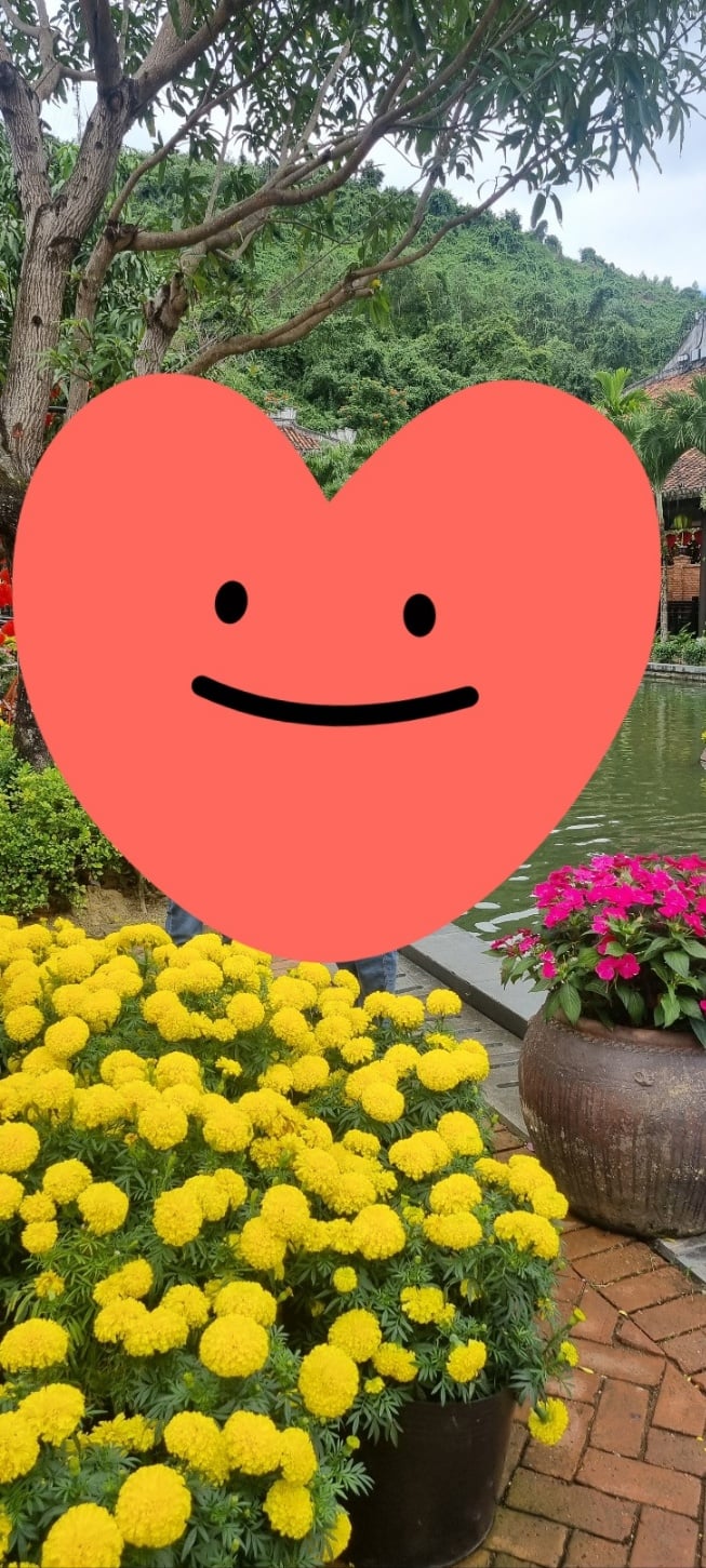 연동사 리뷰 이미지
