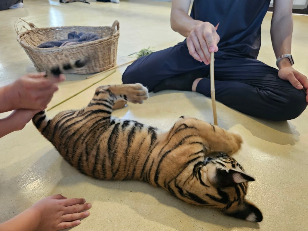 연동사 리뷰 이미지