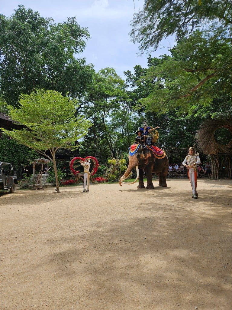 연동사 리뷰 이미지