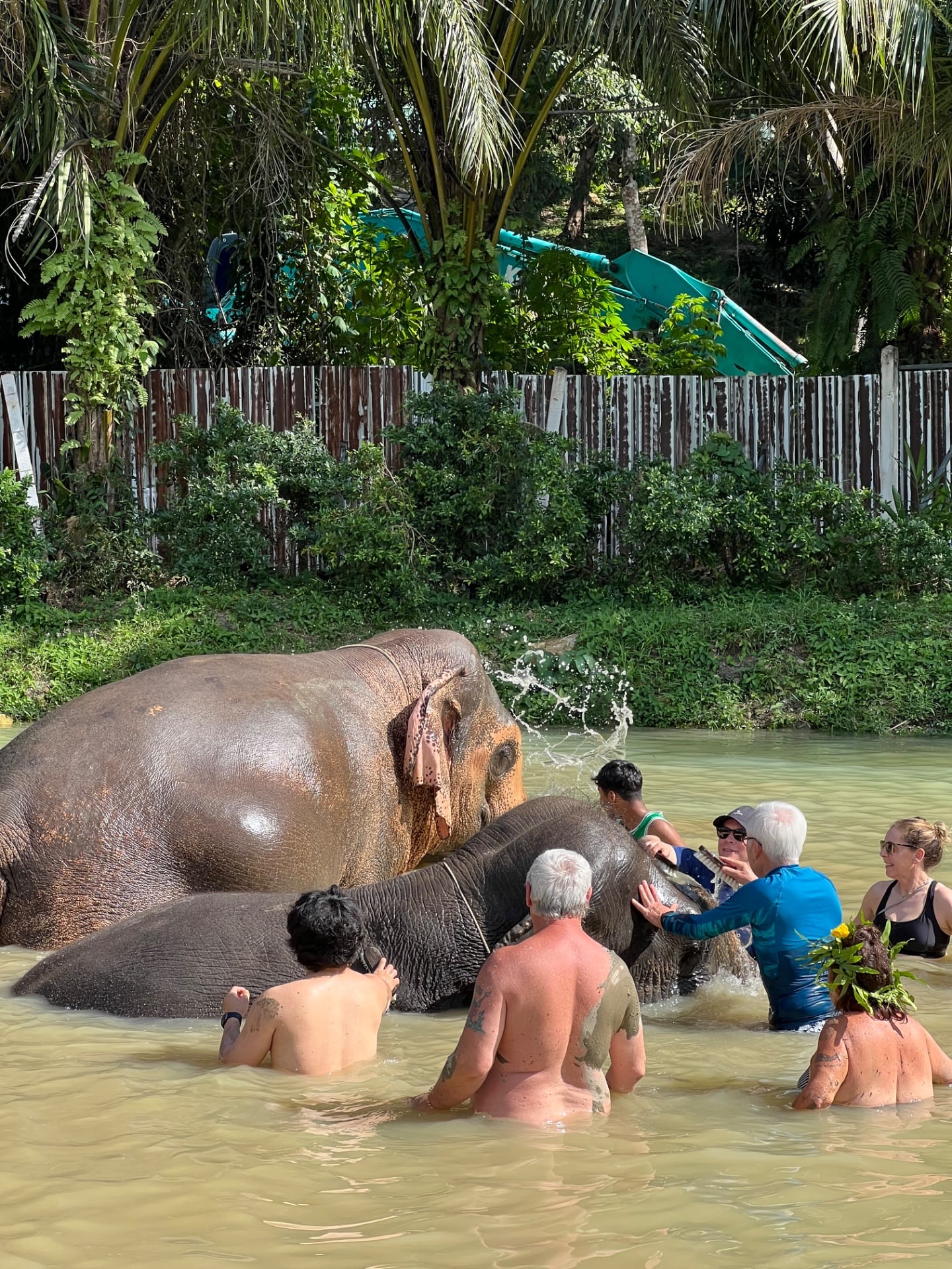 연동사 리뷰 이미지
