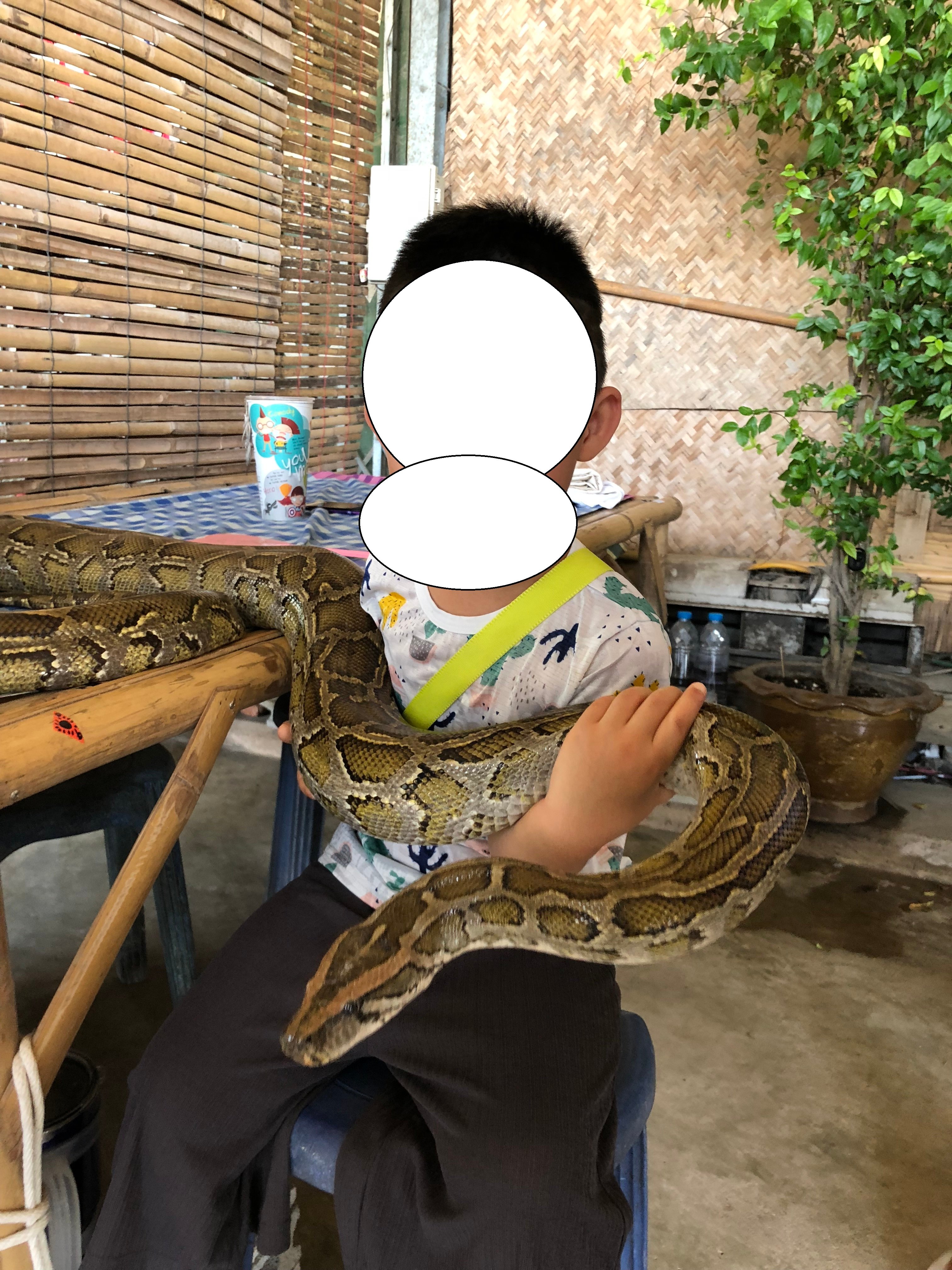 연동사 리뷰 이미지